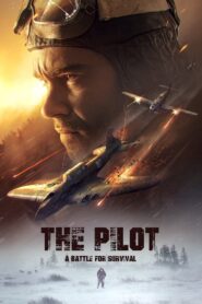 O Piloto – Uma Batalha Pela Sobrevivência
