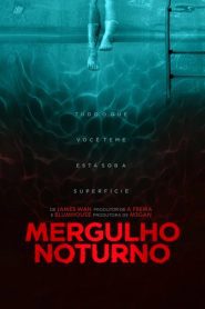 Mergulho Noturno – Night Swim